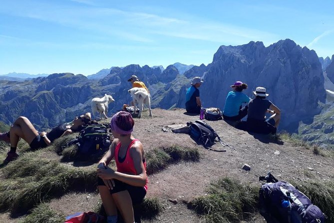 Semi-Private Hiking Tour; Peaks of the Balkans in 10 days - Days 1 and 2: Tamarë, Lëpushë, and Maja e Berishdolit