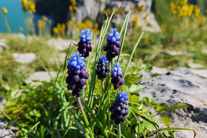 Semi – Private Tour at Cape of Rodon; Hidden Beaches & History - First look at Kepi i Rodonit
