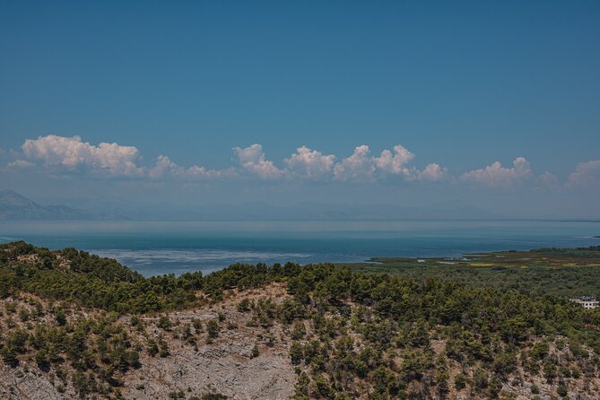 Shkodra from Tirana: Day Tour of castle, city & Skadar Lake - What the $114.14 price really covers