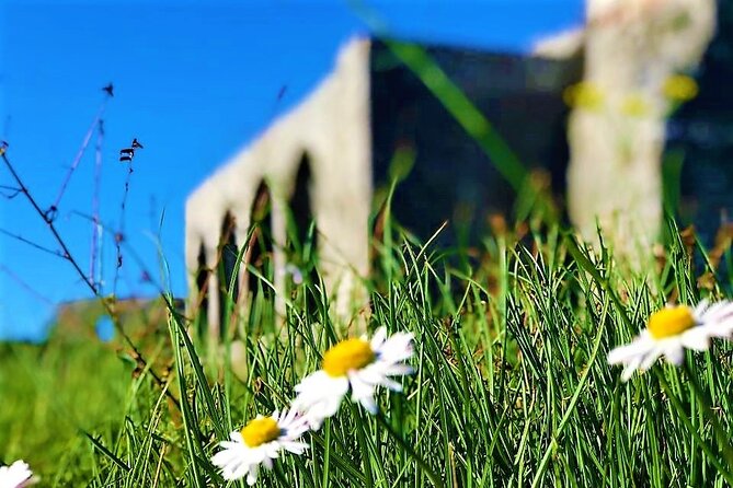 Shkodra, Full Day Trip from Tirana - What makes this day trip worth considering