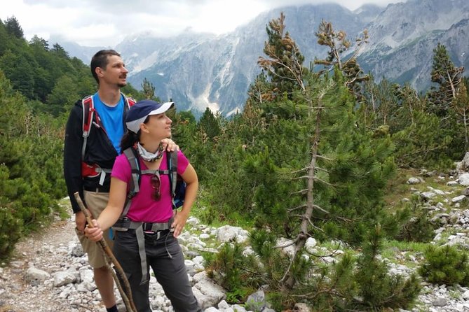 Small Group Hiking Tour; Peaks of the Balkans Trail in 7 Days - Day 5: Mule tracks, berries, and a night at 1,800 meters