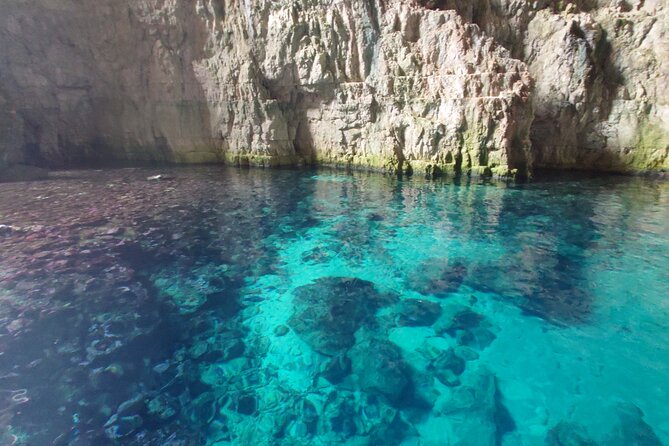 Snorkeling Experience Haxhi Aliu Cave & Ionian Cliffs - Fishermans Gorge and Boats Gorge bring the best variety