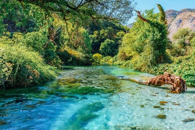 South of Albania A 3 Day Tour Through Albania's Riviera Gems - Llogara National Park gives you the best meal view
