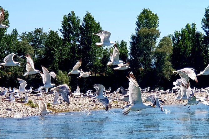 Stand Up Paddle at Skadar lake and Hiking from Valbona to Theth in 4 Days - Day 2: The 20-kilometer hike from Valbona to Theth