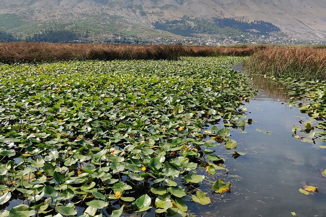 Stand Up Paddle Board or Kayak Rental in Shkodër - Kayak or Stand Up Paddle Board?