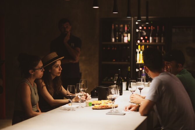 Tirana Lundra Winery Guided Tour with Wine Tasting - What the Lundra Winery visit is really about
