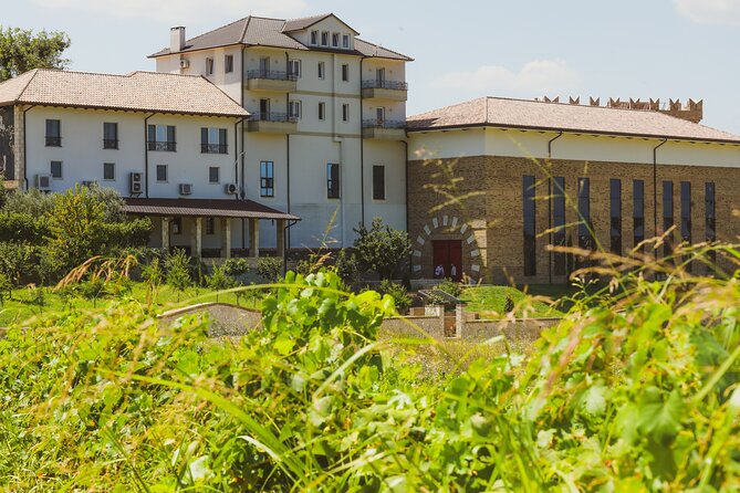 Tirana Lundra Winery Guided Tour with Wine Tasting - Tasting two whites, two reds, and one raki