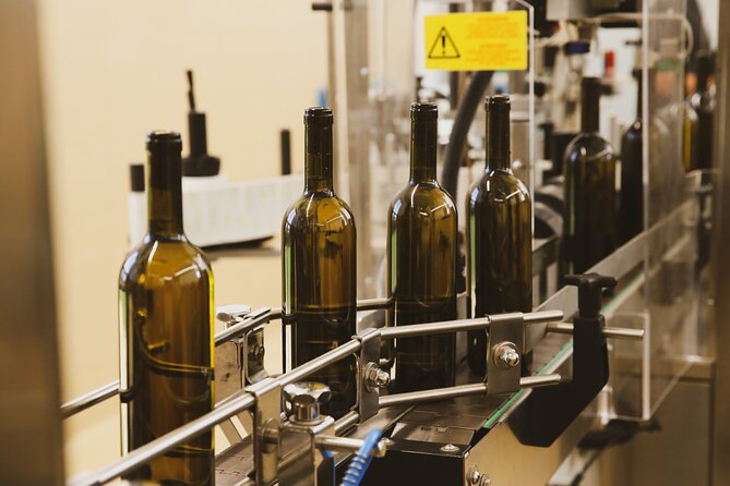 Tirana Lundra Winery Guided Tour with Wine Tasting - Is $33.74 a fair price?