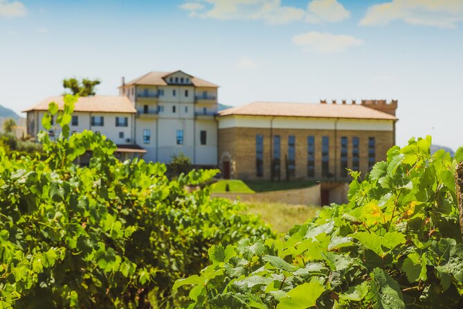Tirana Lundra Winery Guided Tour with Wine Tasting - Walking the vineyard before the first sip