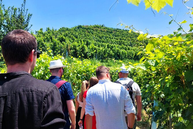 Vineyards, Albanian Wine Tasting & Boat Tour from Tirana/Durres - Four things to know before you book