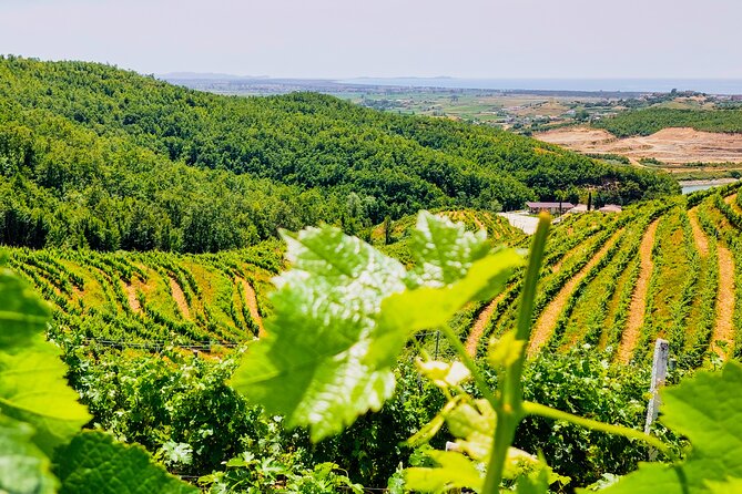 Vineyards, Albanian Wine Tasting & Boat Tour from Tirana/Durres - Why this wine trip feels different from a city tour