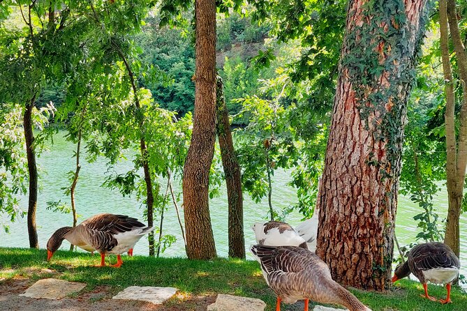 Vineyards, Albanian Wine Tasting & Boat Tour from Tirana/Durres - The private lake and boat ride