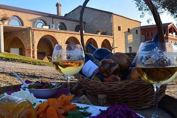 Wine tasting and Olive Oil in Tirana Surroundings - Key points to know before booking
