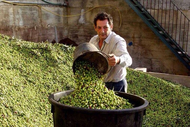 Wine tasting and Olive Oil in Tirana Surroundings - Leaving Tirana for the olive-growing countryside