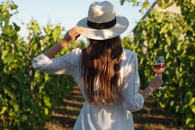 Wine Tasting & Vineyards Escape near Tirana - The key points at a glance