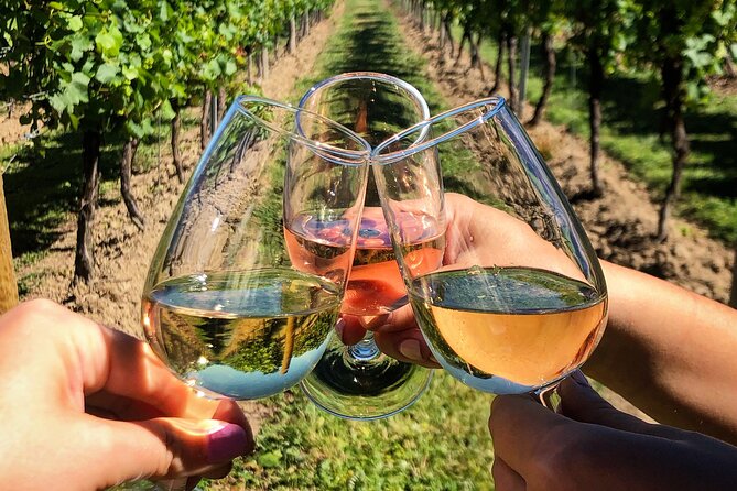 Wine Tasting & Vineyards Escape near Tirana - Three wines and traditional Albanian snacks