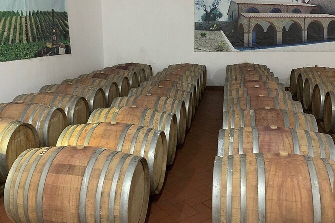 Wine Tasting & Vineyards Escape near Tirana - The views are part of the experience