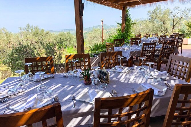 Wine Tasting & Vineyards Escape near Tirana - Is $118.58 a fair price?