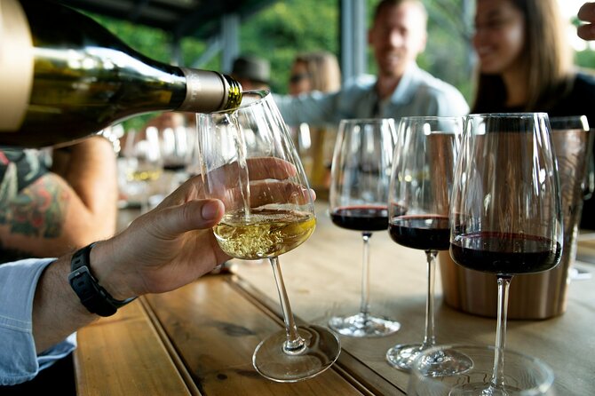 Wine Tasting & Vineyards Escape near Tirana - Who will enjoy this Tirana wine tour?