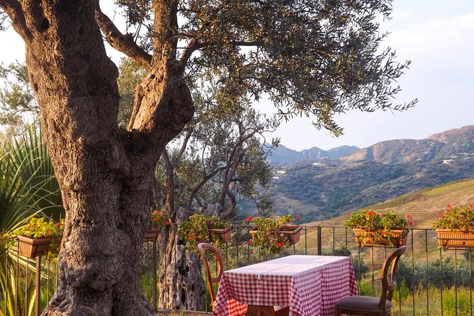 Wine Tasting & Vineyards Escape near Tirana - What to bring and what to check