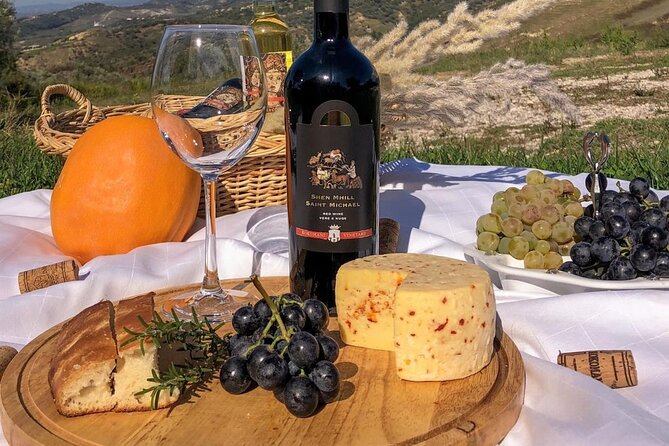 Wine Tasting & Vineyards Escape near Tirana - Walking through the vineyard and cellar